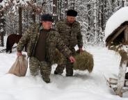 Вісімнадцять годівниць і не лише з сіном…