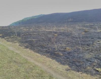 Весняні пали – забруднення атмосфери!