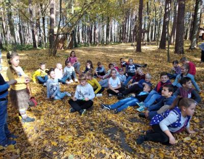 Осіннє тепло і золото природи
