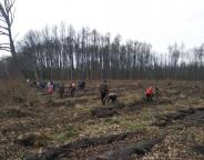 На Бродівщині лісокультурна кампанія на завершенні