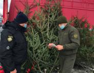 Рейдові групи патрулюють місця реалізації новорічних ялинок