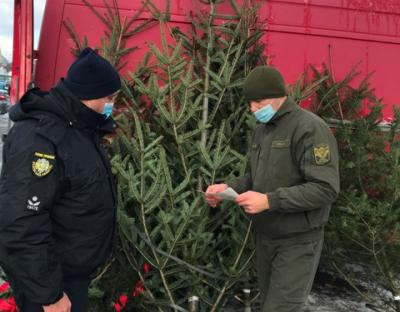 Рейдові групи патрулюють місця реалізації новорічних ялинок