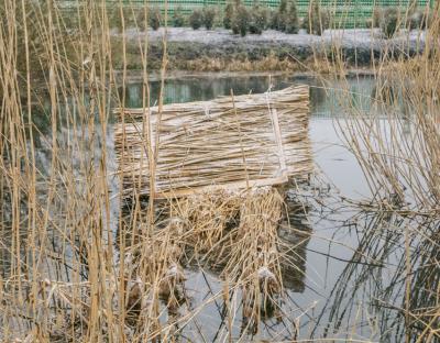 Як вирішують «житлову проблему» пернатих у Бродівському лісгоспі 