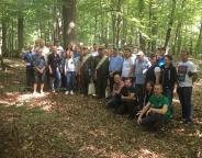 На Львівщині триває Лісівничий тиждень
