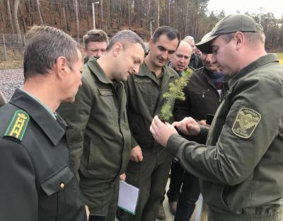 ДП "Львівський лісовий селекційно-насіннєвий центр": візит колег лісівників