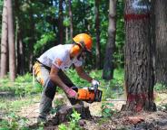 На Львівщині відбулись змагання вальників лісу