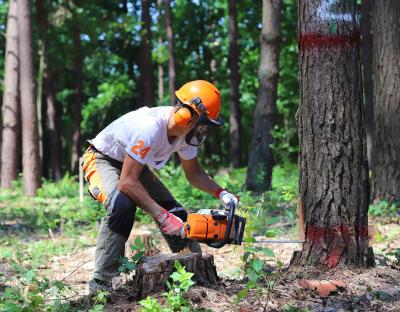 На Львівщині відбулись змагання вальників лісу