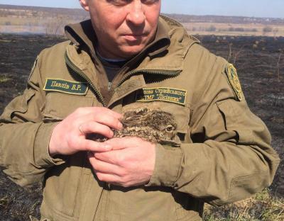 БЕРЕЖІТЬ  ДОВКІЛЛЯ  ВІД  ПОЖЕЖ