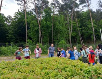 Пізнавальна екскурсія для дітей у Львівському лісовому селекційно-насіннєвому центрі