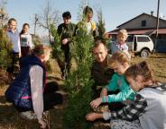 ЗЕЛЕНІ ШАТИ ДОВКОЛА ХРАМУ