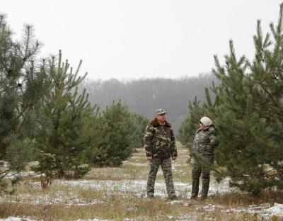 У ДП ”Бродівське лісове господарство” підсумували роботу за 2020 рік