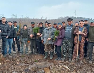 Весняне лісовідновлення - за планом!
