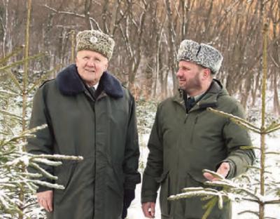 Модрини від лісничого