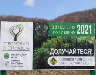 Створюємо ліси разом