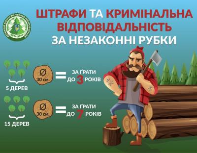 Відповідальність за незаконну рубку дерев