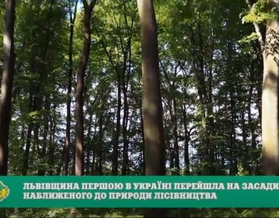 Львівщина першою в Україні перейшла на засади наближеного до природи лісівництва (відео)