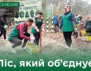 Ліс, який об’єднує