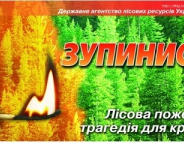 Збережемо ліс від вогню!