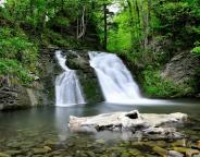 Національному природному парку "Сколівські Бескиди" -  20 років!