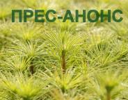 До уваги представників ЗМІ