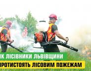 «Червоному півневі» до лісу – зась!