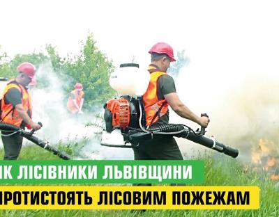«Червоному півневі» до лісу – зась!