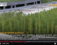 ОНОВЛЕННЯ КАРПАТ (ВІДЕО)