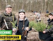 Весняне лісотворення