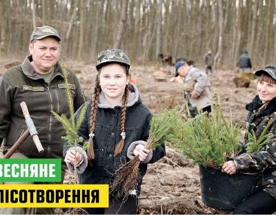 Весняне лісотворення