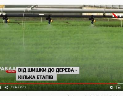  Телеканал НТА: На Львівщині працює перше в Україні підприємство, де вирощують садивний матеріал із закритою кореневою системою
