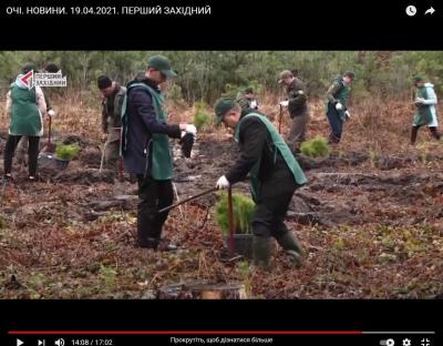 Буде ліс! (відео)