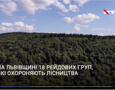 Телеканал НТА: Зберегти ліси! (відеосюжет)