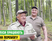 Ази про бука