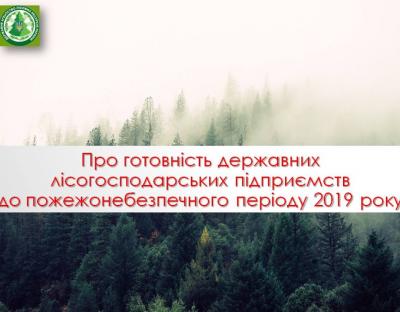 Держлісагентство вживає низку заходів для запобігання виникненню лісових пожеж