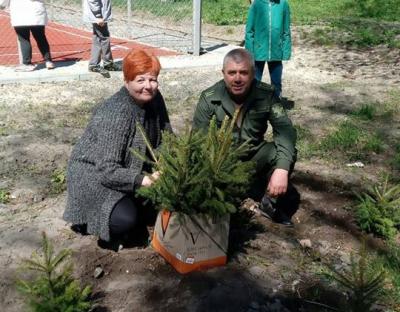 Подарунок від лісівників 