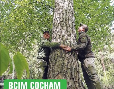 Всім соснам сосна!