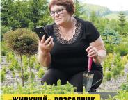 «Живучий» розсадник