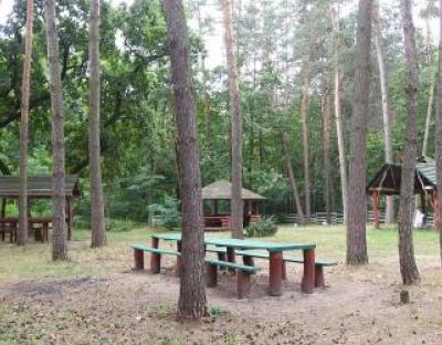 Жовківські лісівники закликають відпочивати відповідально