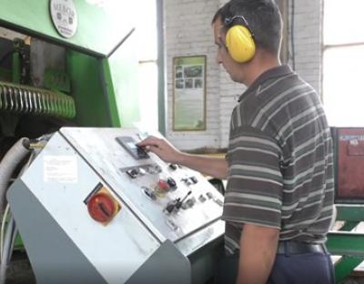 Деревина – головний продукт лісового господарства. Розповідь із лісозаводу ДП “Бродівський лісгосп” (відео)