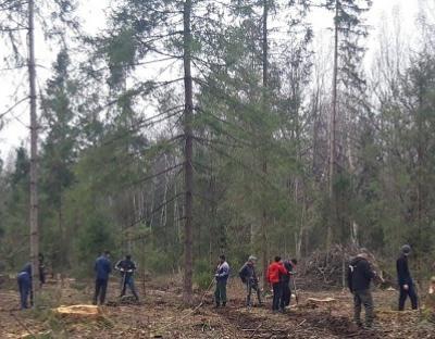  Як на Стрийщині лісівники, студенти та громадськість садили дерева (відео)