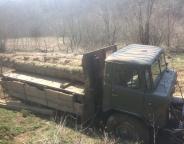 Працівники державної лісової охорони виявили лісопорушника