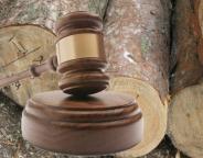 Результати аукціонних торгів