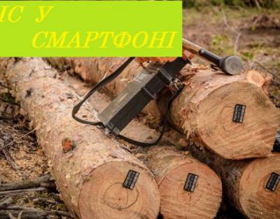 Ліс у смартфоні