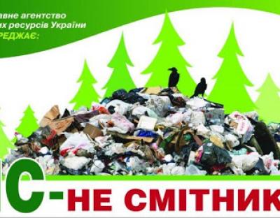 ДП "Львівський лісгосп": про наболіле