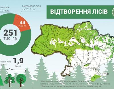 У 2018 році відтворено майже 44 тисячі гектарів лісів
