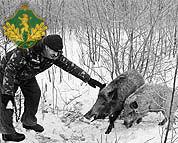 Кабанові з рук Степана Жили смакують і кукурудза, і хліб.