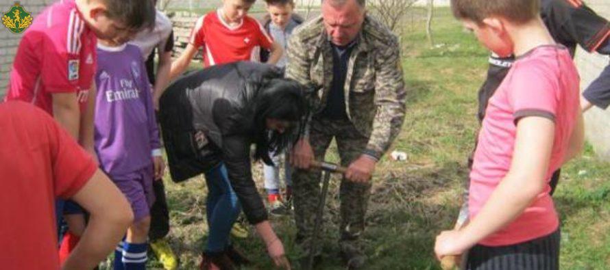 У Бродах озеленили територію стадіону
